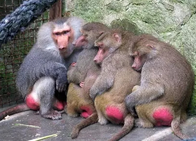 強冷空氣+雨 鄭州終于要下雪了！最低氣溫-6℃！