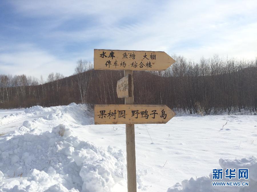 穗豐園里的標(biāo)識(shí)牌（2013年12月8日攝）。新華社記者王子辰攝