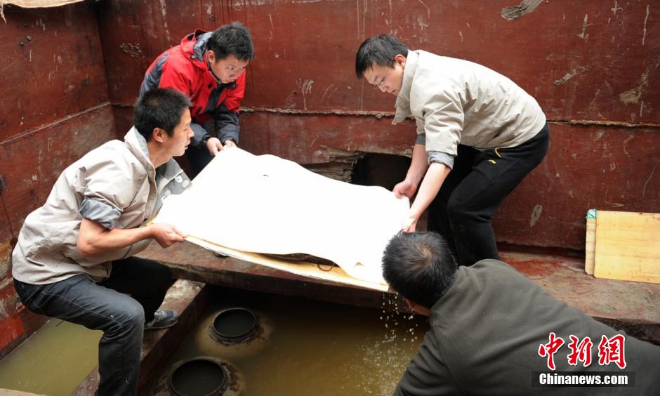 圖為考古現(xiàn)場(chǎng)工作人員小心翼翼將文物取出。