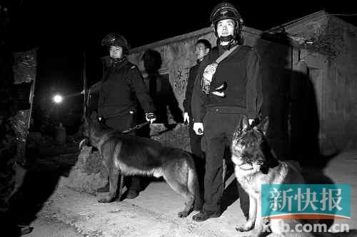 緝毒犬協(xié)助警方搜查毒品。