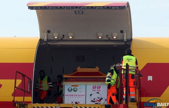 大熊貓“好好”抵達(dá)布魯薩爾國際機(jī)場(chǎng)。記者 付敬 攝