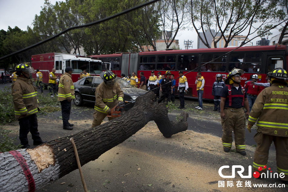 　當(dāng)?shù)貢r(shí)間2014年5月8日，墨西哥墨西哥城，消防人員正在切割一棵倒下的樹。　