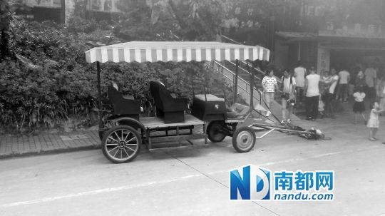 園方則稱解剖后發(fā)現(xiàn)馬死于心臟衰竭，“與累無關(guān)”。