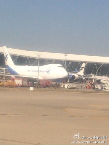 圖說：發(fā)生事故的飛機(jī)。圖片來源：新浪微博網(wǎng)友圖（請私信“新民晚報(bào)新民網(wǎng)”以奉稿酬）