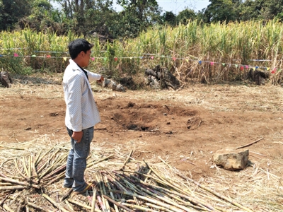 昨日，在大水桑樹村，村民向記者展示13日造成5死8傷的炸彈事件彈坑。