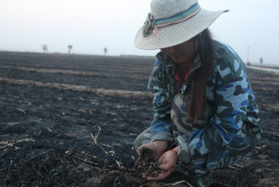 村民們眼巴巴看著豐收的小麥“葬身”火海，心疼不已。