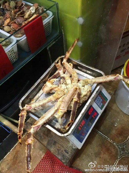 網(wǎng)友提供圖片。