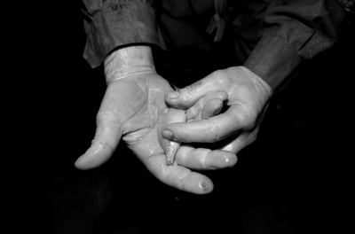 圖為科考人員發(fā)現(xiàn)的洞穴動(dòng)物（3月2日攝）。