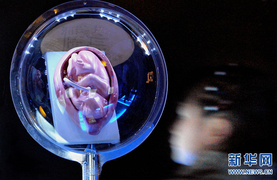 一名小學生在鄭州科技館內(nèi)參觀介紹遺傳、生育等知識的“奇幻生命之旅”展覽（2007年2月18日攝）。