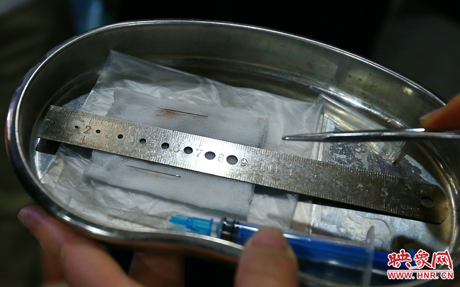 大龍顱內(nèi)取出的鋼針（上）和小龍顱內(nèi)的一樣（下），均為2.5厘米