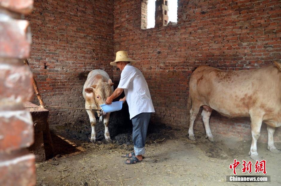 同時(shí)，地下水位的持續(xù)下降以及部分山泉水的干涸，已造成全縣2.85萬人和2000頭大牲畜出現(xiàn)飲水困難。