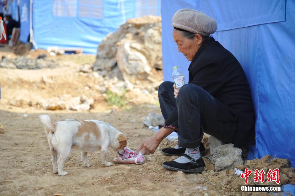 8月6日，一名老人將剛領到的礦泉水分給小狗。