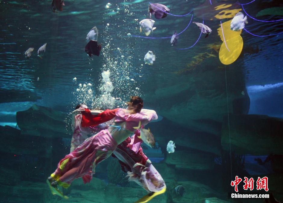 9月7日，在中秋節(jié)到來(lái)前一天，山東泉城海洋極地世界為游客帶來(lái)“嫦娥水中奔月”表演。