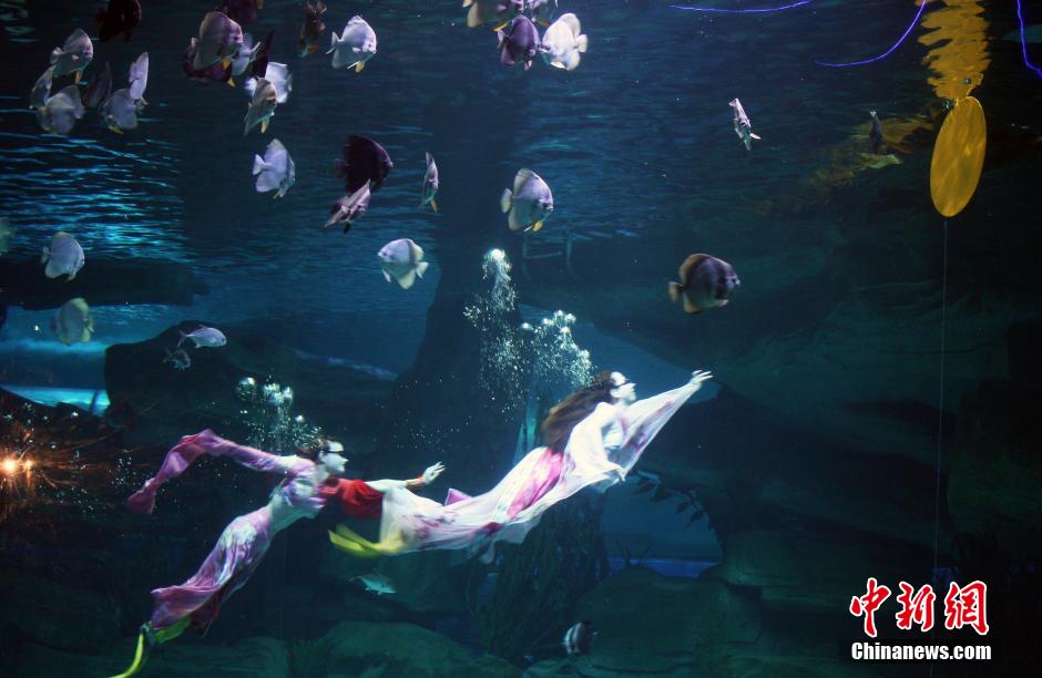 9月7日，在中秋節(jié)到來(lái)前一天，山東泉城海洋極地世界為游客帶來(lái)“嫦娥水中奔月”表演。