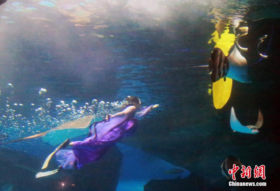 9月7日，在中秋節(jié)到來(lái)前一天，山東泉城海洋極地世界為游客帶來(lái)“嫦娥水中奔月”表演。