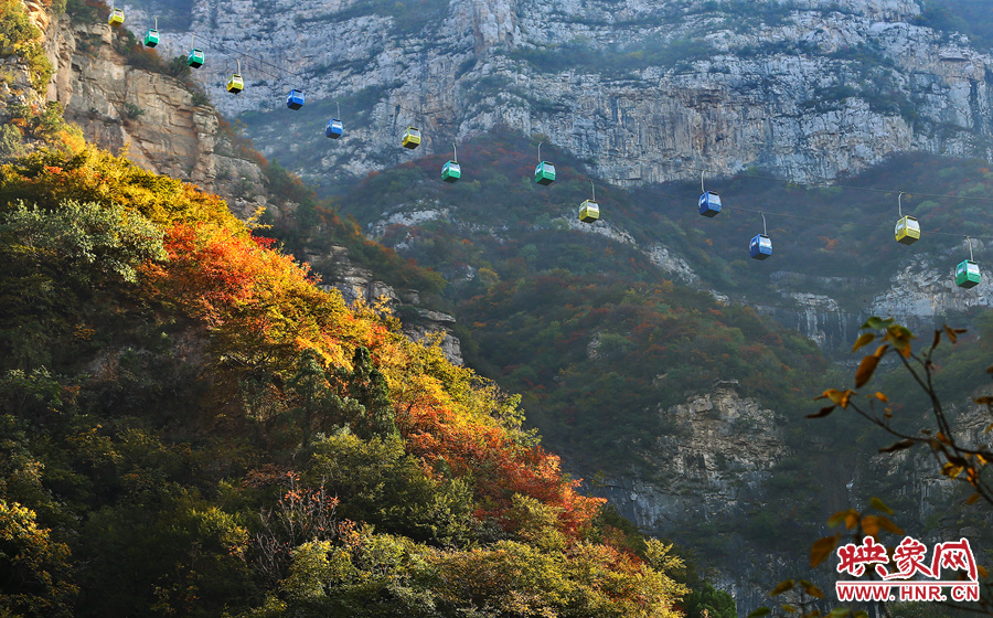 索道下的山坡，陽光灑在色彩繽紛的樹葉上