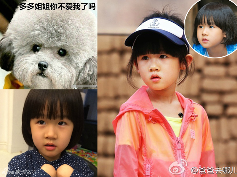 不小心就撞臉了！盤點動物界的明星相