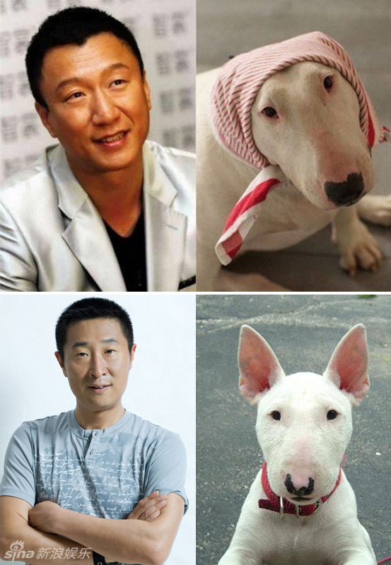 不小心就撞臉了！盤點動物界的明星相