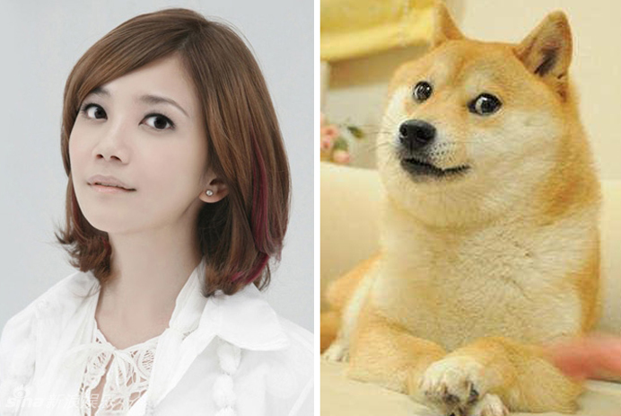 不小心就撞臉了！盤點動物界的明星相