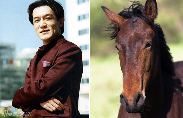 不小心就撞臉了！盤點動物界的明星相