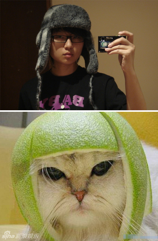 不小心就撞臉了！盤點動物界的明星相