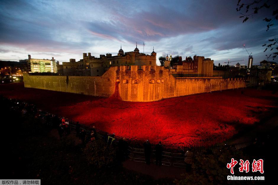 當?shù)貢r間2014年11月10日，英國倫敦，倫敦塔周邊“種植”了888246朵陶瓷材質的罌粟花，以此紀