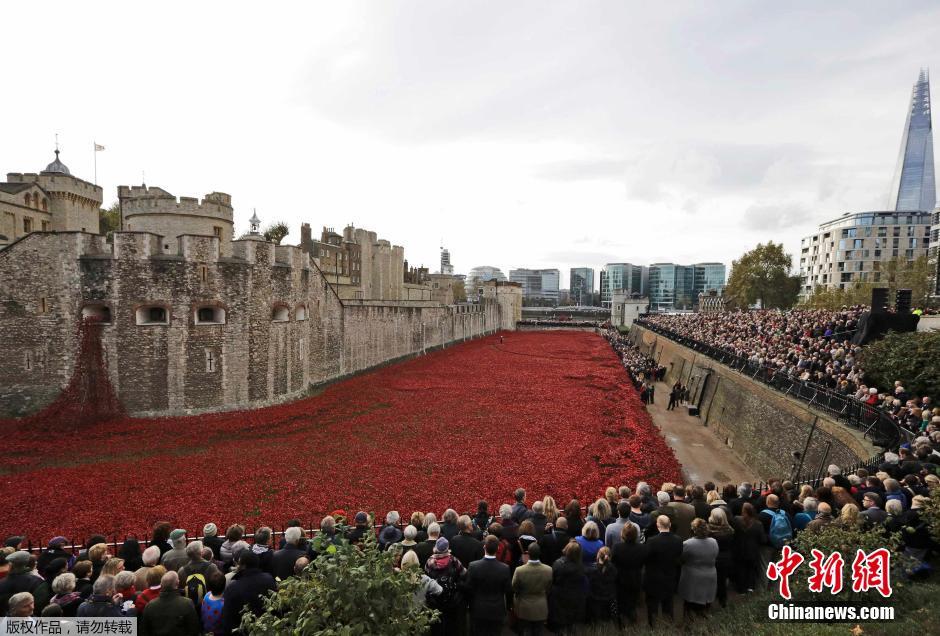當?shù)貢r間2014年11月10日，英國倫敦，倫敦塔周邊“種植”了888246朵陶瓷材質的罌粟花，以此紀