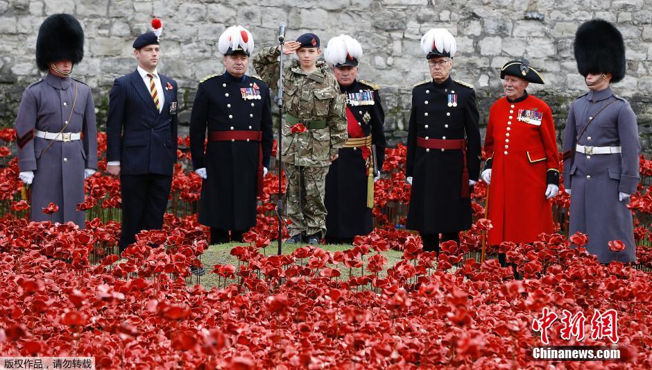 當?shù)貢r間2014年11月10日，英國倫敦，倫敦塔周邊“種植”了888246朵陶瓷材質的罌粟花，以此紀