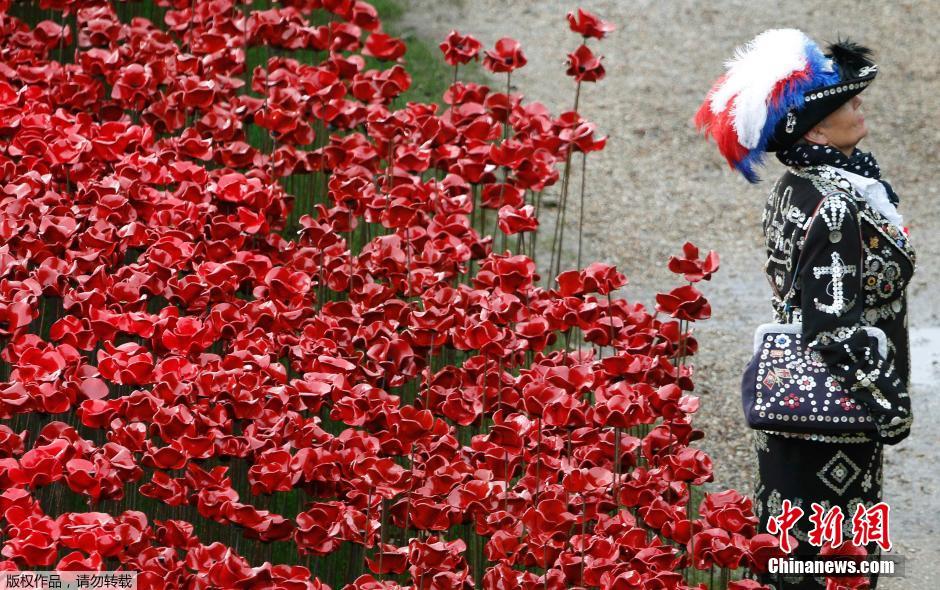 當?shù)貢r間2014年11月10日，英國倫敦，倫敦塔周邊“種植”了888246朵陶瓷材質的罌粟花，以此紀