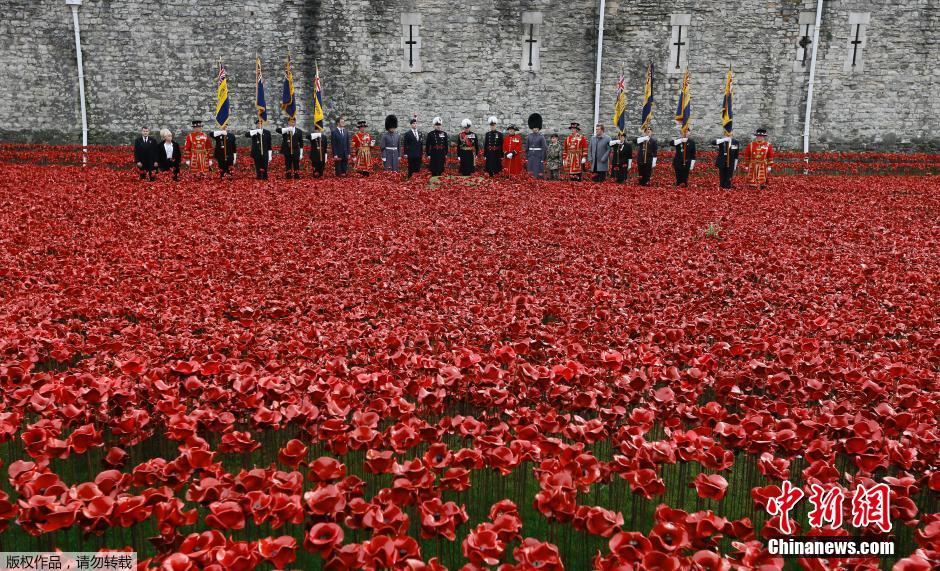 當?shù)貢r間2014年11月10日，英國倫敦，倫敦塔周邊“種植”了888246朵陶瓷材質的罌粟花，以此紀