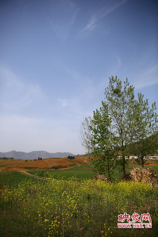 庫(kù)區(qū)的藍(lán)天、白云、綠樹(shù)、黃花給人清新的享受