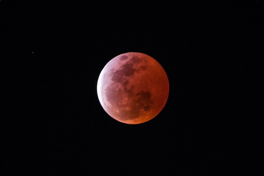 4月4日，福州上空出現(xiàn)紅月亮。楊婀娜/CFP