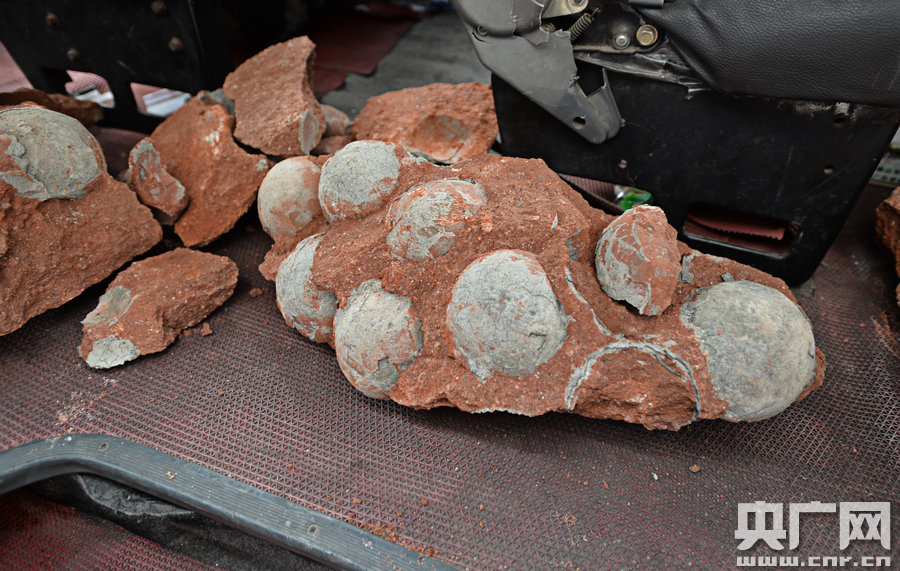 其中完整的19枚，都是直徑約13厘米的“大個(gè)子”。