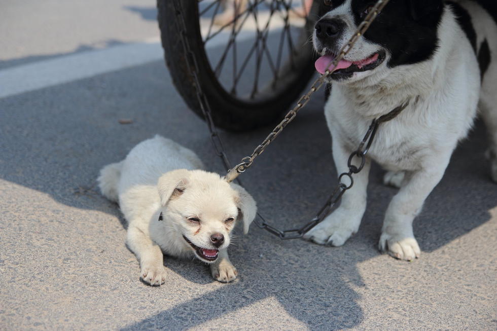 山東花甲老人為尋妻 拉“房車”四海為家 山東花甲老人為尋妻 拉“房車”四海為家