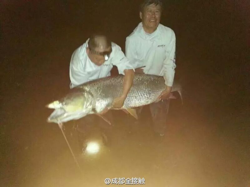 圖為大魚需要兩個人抱起。