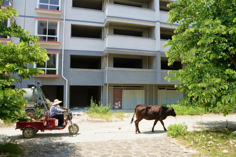 2016年7月26日，村民在廣西來(lái)賓市忻城縣隆達(dá)山水福城荒廢別墅間放牛。