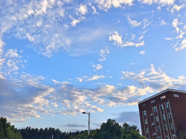 又被鄭州的藍天刷屏！隨便一拍就是手機壁紙