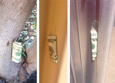 “隱藏的鈔票”會被神秘人藏在公園、廁所等“奇怪的地方”。