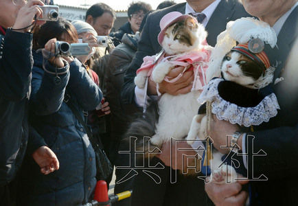 圖為粉絲們簇?fù)碇鞍⒂瘛闭鹃L（右）。左側(cè)為其部下“二玉”。