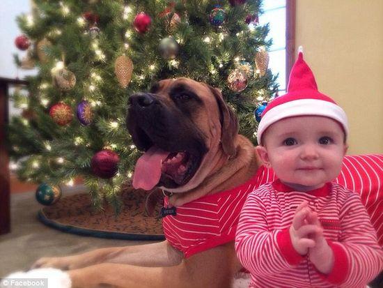 圖為美國(guó)2歲大的寵物犬與主人9個(gè)月大的女?huà)搿D片來(lái)源：臉譜網(wǎng)站（Facebook）。