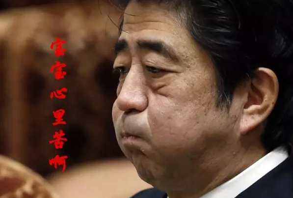 這種看安倍“熱鬧”的事兒，環(huán)環(huán)絕不私藏，一定雨露均沾!