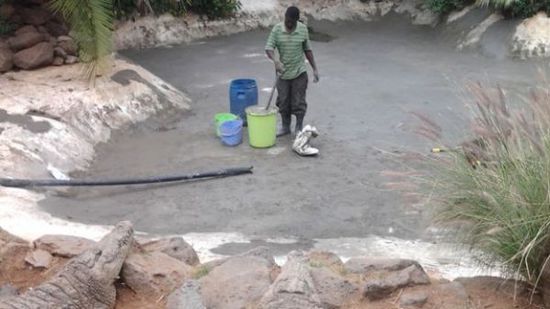 穆克的養(yǎng)殖場，鱷視眈眈下的工作人員。