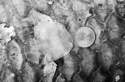 男子湖中釣起70斤大青魚 折騰2小時(shí)才把魚捕上船 男子湖中釣起70斤大青魚 折騰2小時(shí)才把魚捕上船