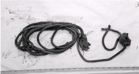 破產老板為騙180萬保險花3萬雇兇殺死自己