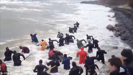 一場暴雨后，俄羅斯加里寧格勒Pionersky鎮(zhèn)，數(shù)十人潛入海水中搜尋琥珀。