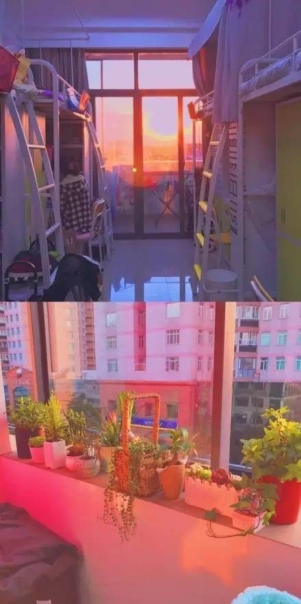 這個(gè)學(xué)校的男生宿舍火了！女同學(xué)都喊著要嫁