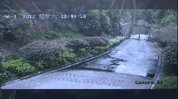 2女1男為逃票翻墻進(jìn)動(dòng)物園 落地時(shí)周?chē)玖?只虎