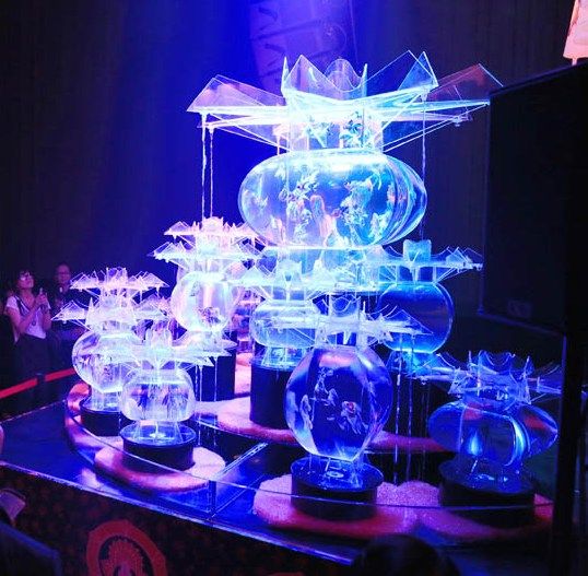 金魚在燈光下的水缸中翩翩游弋吸引游人參觀 金魚在燈光下的水缸中翩翩游弋吸引游人參觀