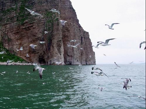 北京APEC長假 逃離霧霾十大“洗肺”目的地推薦 北京APEC長假 逃離霧霾十大“洗肺”目的地推薦