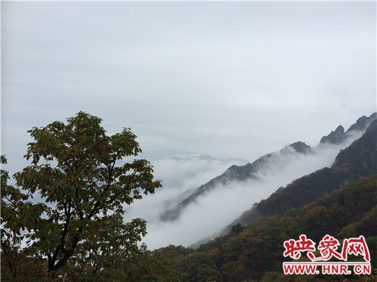 全景欒川·大美老君山 攝影大展頒獎(jiǎng)典禮冒雨舉辦 全景欒川·大美老君山 攝影大展頒獎(jiǎng)典禮冒雨舉辦